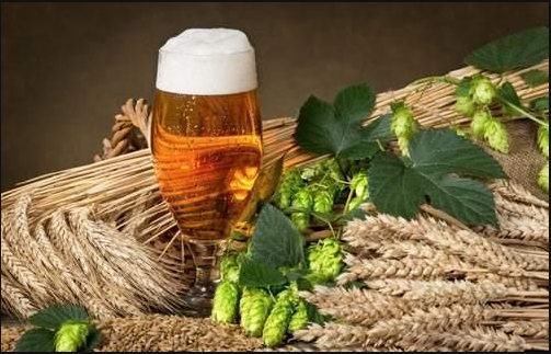 精釀（niàng）啤酒-濟南豪（háo）魯