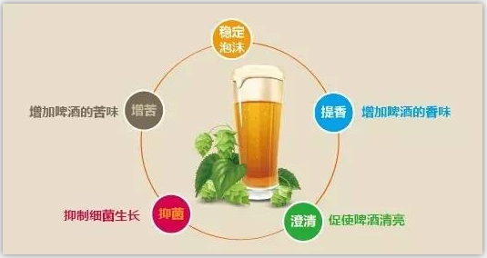 精（jīng）釀（niàng）啤酒設備（bèi）