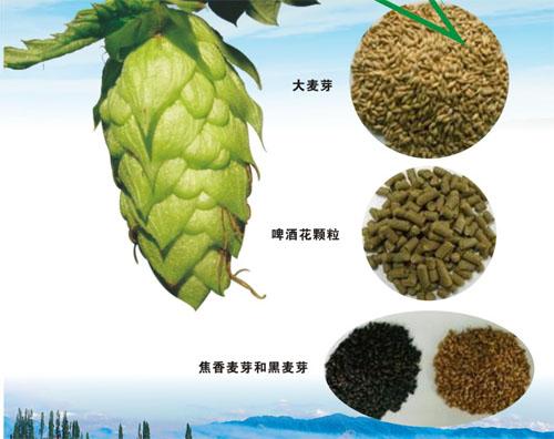 啤酒原料（liào）